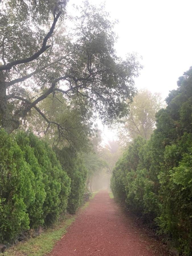 ホテル Hacienda Tzintzimeo モレリア エクステリア 写真